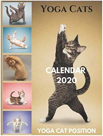Yoga Cats Calendar 2020 - Yoga Cat Position: Yoga Cats Calendar 2020, Yoga Cat Position, Yoga Cats Calendar, Yoga Cat Calendar, Yoga Cat Cow, Yoga Categories, Yoga Catchphrases