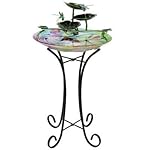 Beckett Corporation Dragonfly Birdbath Fountain with Pump, Multicolor