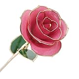 econoLED Long Stem Dipped 24k Gold Trim Red Rose in Gift Box,valentines Gifts for Couples, Cute Valentines Day Gift Ideas, Good Couple Gifts for Valentines, Romantic Anniversary Gifts(Pink)