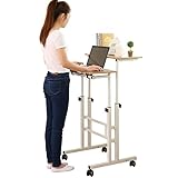 Mobile Stand Up Desk Pros And Cons
