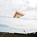 Rainbow Delta Kite for Kids and Adults,Single Line Easy to Fly Kites with Long Tail and Flying Line
