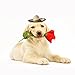Crazy Night Mini Sombrero Top Hat Headband Fiesta Party Supplies