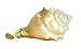 Old World Christmas Golden Seashell Glass Blown Ornament for Christmas Tree