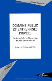 Domaine public et entreprises privées
