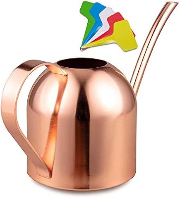 Liyahog Small Watering Can Metal Stainless Steel Watering Pot With Long Spout For Outdoor And Indoor House Plants 33oz Copper Buy Online At Best Price In Uae Amazon Ae