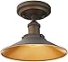 Westinghouse Lighting 6336000 Louis One-Light Indoor Semi-Flush Ceiling Fixture, Oil Rubbed Finish and Metallic Bronze Interior