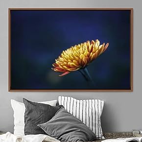 signwin Framed Canvas Wall Art Flora Snapshot Closeup...