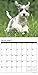 Just Schnauzer Puppies 2018 Wall Calendar (Dog Breed Calendar)