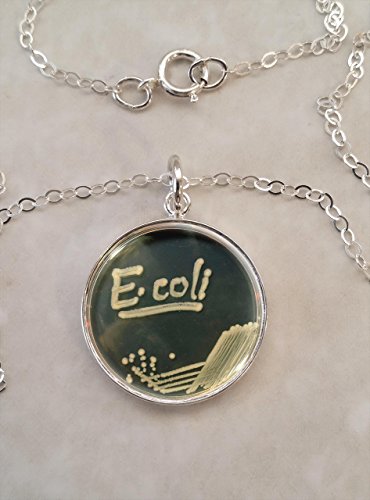 E. Coli Bacteria Petri Dish .925 Sterling Silver Necklace - Thumbnail 2