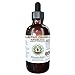 Angelica Alcohol-FREE Liquid Extract, Organic Angelica (Angelica archangelica) Dried Root Glycerite 2 oz