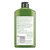 John Frieda Detox & Repair Conditioner for Dry, Stressed & Damaged Hair with Avocado Oil and Green Tea, 250 ml