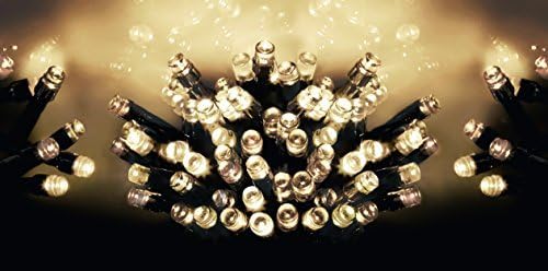 Premier 200 Multi Action Supabright Warm White LED Lights with Green Cable by Crillys