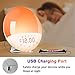 Wake Up Light Alarm Clock, Sunrise Alarm Clock with Sunset Simulation, Dual Alarms Snooze Function, 7 Colors Bedside Night Lamp,8 Natural Sounds&Voice Recorder,USB Charger and FM Radio,Ideal for Gift