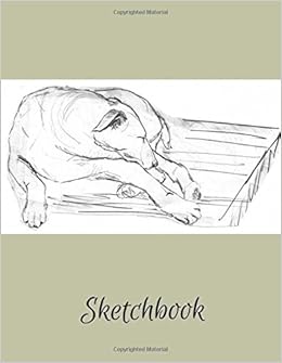 Sketchbook Hand Drawn Artwork Artist Sketchbook 85 X 11