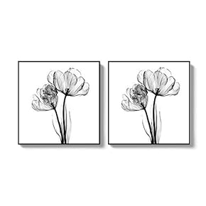 2 Piece Framed Canvas Wall Art for Living Room, Bedroom Transparent Flower Canvas Prints for Home Decoration Ready to Hang - 16"x16"x2 Panels
