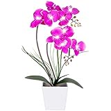 HOMESEASONS LED Lighted Artificial Phalaenopsis Orchid Arrangement with 9 Lights,Purple