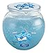 4 REAL SLIME-Crunchy Fishbowl Slime-6.53 oz in a Fishbowl Storage Container, Crunchy and Squishy