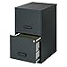 Scranton & Co Metal 2 Drawer Letter File Cabinet in Black