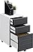Ameriwood Home Altra Pursuit Mobile File Cabinet, White/Gray