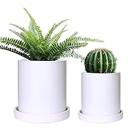 GeLive Set of 2 Matte White Ceramic Succulent Planter, Cylinder Plant Flower Pot with Drainage Hole and Tray Saucer, Nordic Minimalism, Elegant Modern Home Decor (Small + Medium, Matte White)