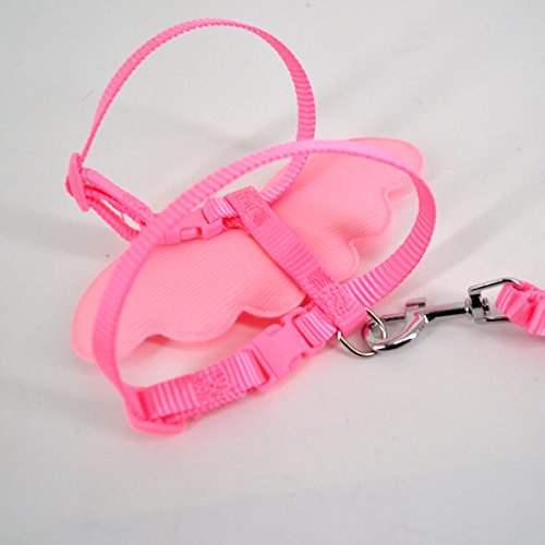 Budd Pet Dog Leash Adjustable Harness Puppy Leads and Collars Set for Small Doggie Kitten Vest Strap with Angel Wings (Pink,S)