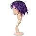 Ecvtop Wigs for Mens' Death Note Male Short Hair Wig Costume Cosplay Wigs (Purple)