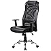 Mesh Office Chair High Back – Padded Leather Headrest Design of Computer Desk Chair with Adjustable Armrest and Lumbar Support Color Black
