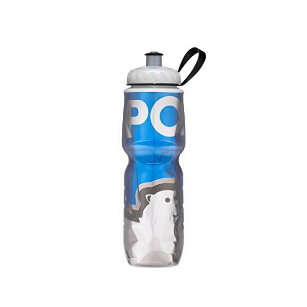 insulated water bottle polar