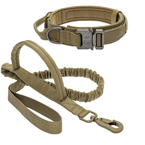 dog collar leash