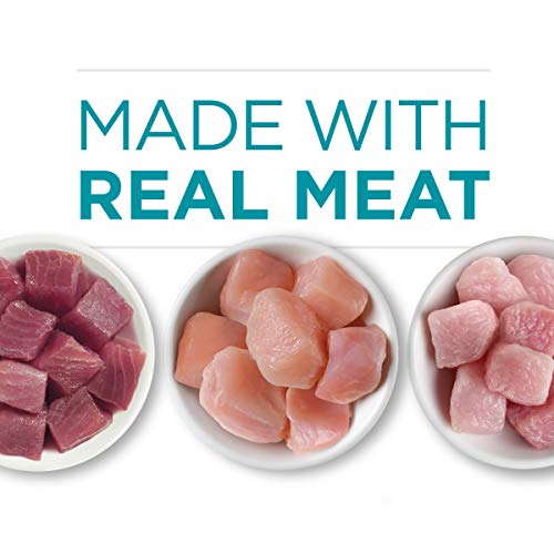 Purina ONE Natural, High Protein Wet Cat Food Variety Pack, True