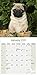 2024 2025 Pug Calendar - Dog Breed Monthly Wall Calendar - 12 x 24 Open - Thick No-Bleed Paper - Giftable - Academic Teacher's Planner Calendar Organizing & Planning - Made in USA