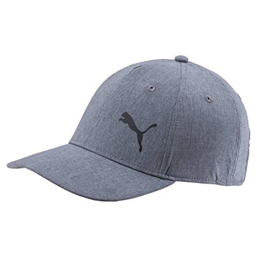 Puma Golf 2018 Men's Duocell Hat (Quiet Shade Heather, One Size)