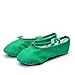 MSMAX Kids Canvas Ballet Shoes Women Ponite Dancing Flats Green 13 M US Little Kid