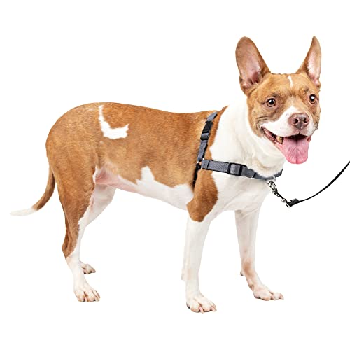 PetSafe Easy Walk Deluxe Dog Harness, No Pull Dog Harness – Perfect for Leash & Harness Training – Stops Pets from Pulling and Choking on Walks – Medium, Steel