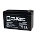 ML9-12 - 12 V 9 Ah Rechargeable SLA Battery - Mighty Max Battery Brand Product primary