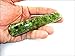 Energized Jet Peridot Orgone Massage Wand Rounded End Booklet Jet International Crystal Therapy A+ Healing Energy Orgone Orgonite Life Force Negative Ion Generator Image is JUST A Reference