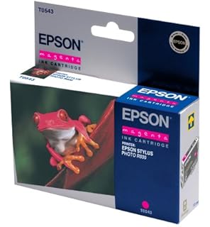 epson r900