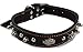 Coastal Pet Harley-Davidson Spiked Leather Dog Collar (Black, 20 Inch L x 1 Inch W)
