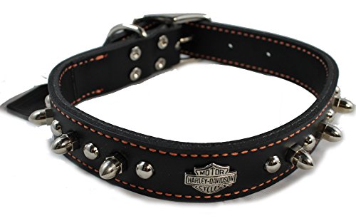 Harley davidson leather dog collar Clearance