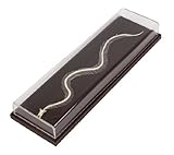 Venomous Snake Skeleton Display