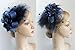 Cizoe Women's Fascinators Hat Hair Clip Feather Wedding Headware Bridal 1920s Headpiece(1-d.Blue)