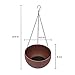 Homes Garden 10.5 in. Dia Plastic Resin Rattan Hanging Planter Brown (2-Pack) Flower Plant Hanging Basket for Home Office Garden Porch Balcony Indoor Outdoor Decoration Gift #G727A00