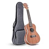 Ranch Left handed Concert Ukulele 23 inch