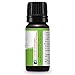 Plant Therapy Catnip Essential Oil 100% Pure, Undiluted, Natural Aromatherapy, Therapeutic Grade 10 mL (1/3 oz)