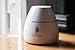 Essential Oil Nebulizer Diffuser for Aromatherapy by Two Scents: Waterless, Wireless, Heatless, Rechargeable, Nebulizing. Compact & Portable for Home, Car, Work, Bath, Bedroom, Travel, Spa
