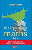 Une brève histoire des maths: La saga de notre science préférée (Hors Collection) (French Editio by David Berlinski, Hélène Demazure