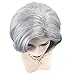 JIYCZK Short Bob Hair Wig Wavy Micro Curly Hair Synthetic Cosplay Daily Party Wig Natural As Real Hair Free Wig Cap 14Inch Silver Gray