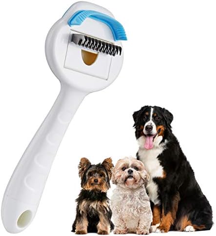 shedding short hair dog