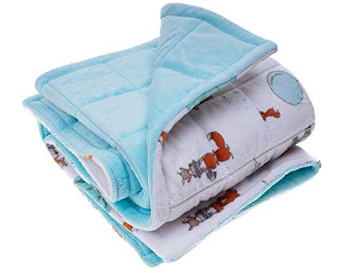 Amazon.com: Washable Minky Weighted Sensory Blanket for Kids - XS