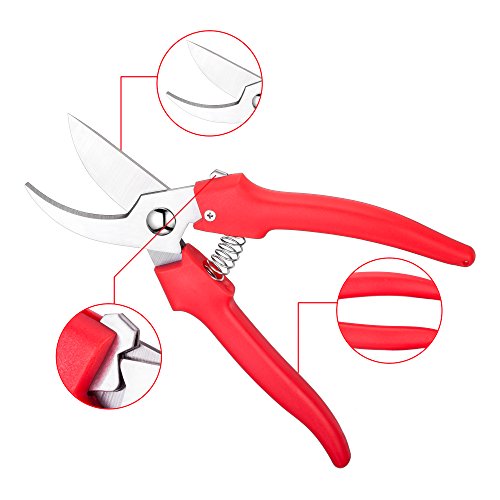 Ebaco Professional Sharp Bypass Pruning Shears, Tree Trimmers Gardening Scissors,Hand Pruner, Garden Shears,Clippers For The Garden. … (Pruning Shears)